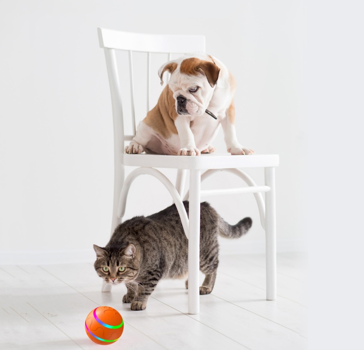 لعبة الكرة الذكية الجديدة للقطط من Pet New Cat Wicked Ball، لعبة USB للقطط، كرة دوارة ذاتية الدوران، كرة دوارة أوتوماتيكية - Image 5