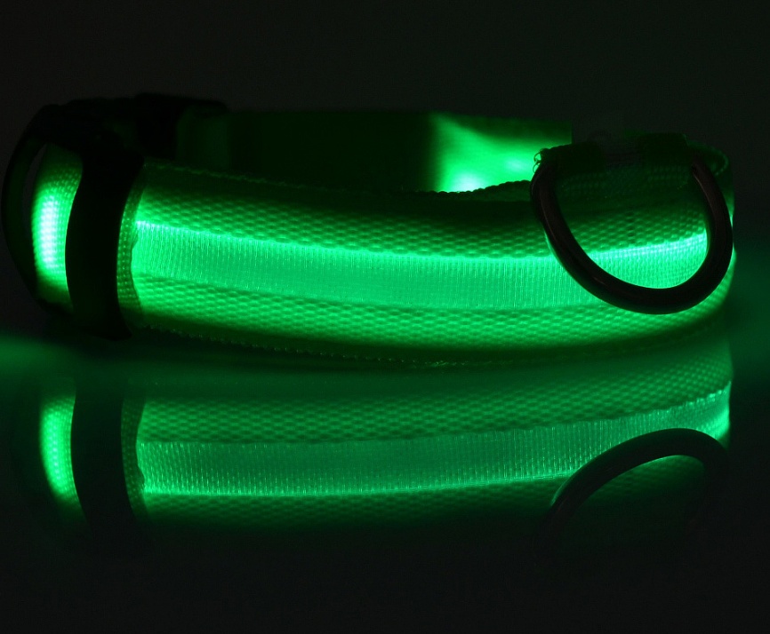 طوق نايلون مضيء LED للكلاب الأليفة، آمن ليلي، وامض، متوهج في الظلام، مقود قابل للتعديل للكلاب والقطط، مستلزمات الحيوانات الأليفة - Image 2